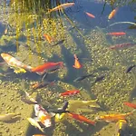 דירה Komfortwohnung By Interhome *