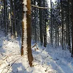 Komfortwohnung By Interhome *