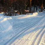 Komfortwohnung By Interhome