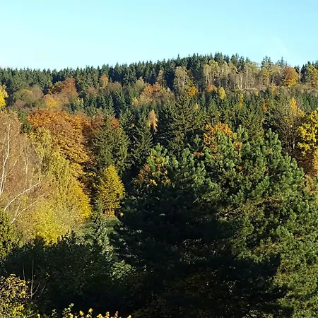 Komfortwohnung By Interhome Finsterbergen