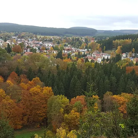 Komfortwohnung By Interhome Appartamento Finsterbergen