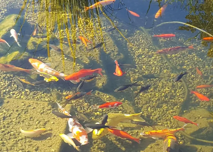 Apartment Komfortwohnung By Interhome *