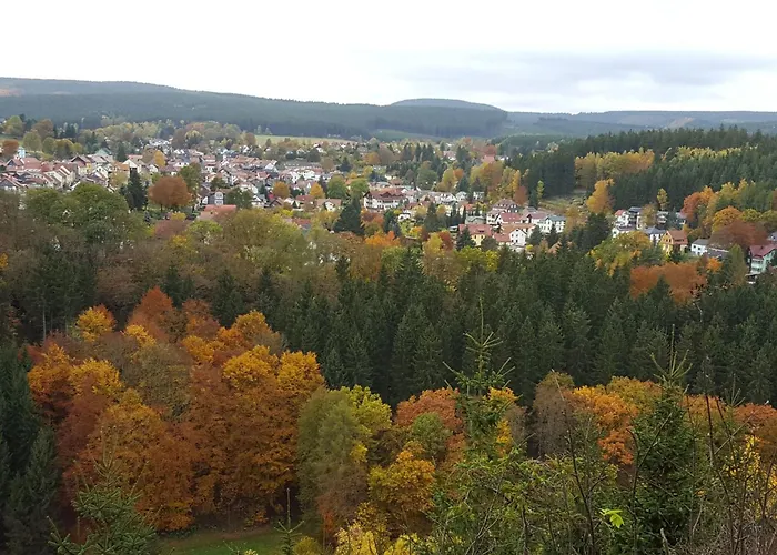 Komfortwohnung By Interhome Apartment Finsterbergen