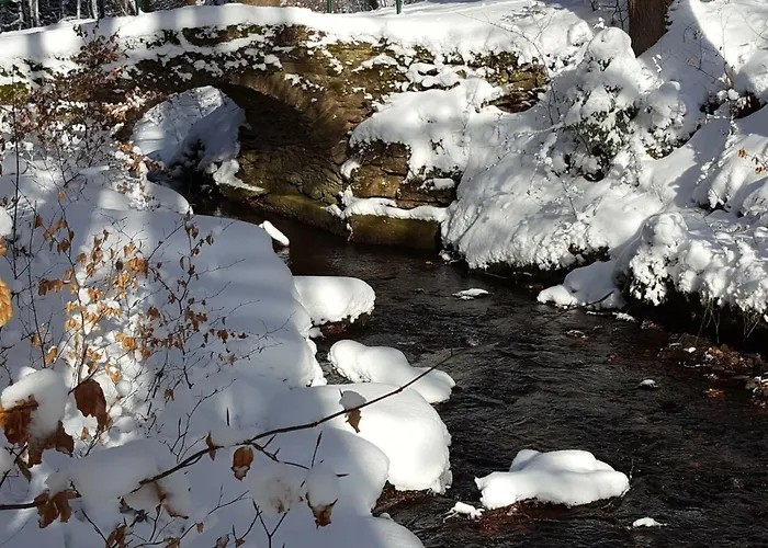 Komfortwohnung By Interhome *