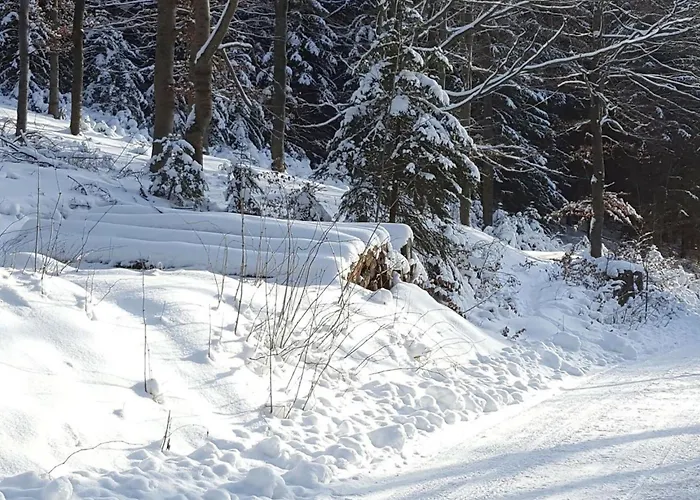 Komfortwohnung By Interhome Apartment