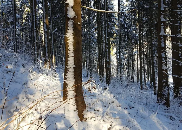 Komfortwohnung By Interhome *