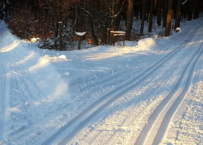 Komfortwohnung By Interhome